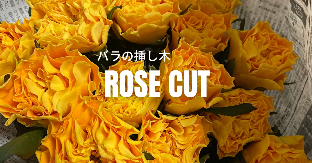 挿し木・接ぎ木と種苗法